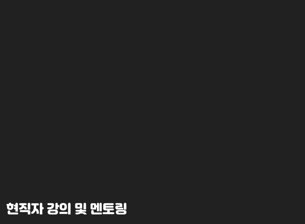 현직자 강의 및 멘토링