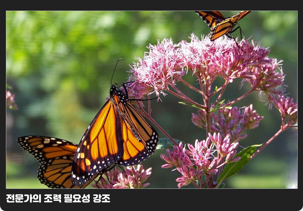 전문가의 조력 필요성 강조
