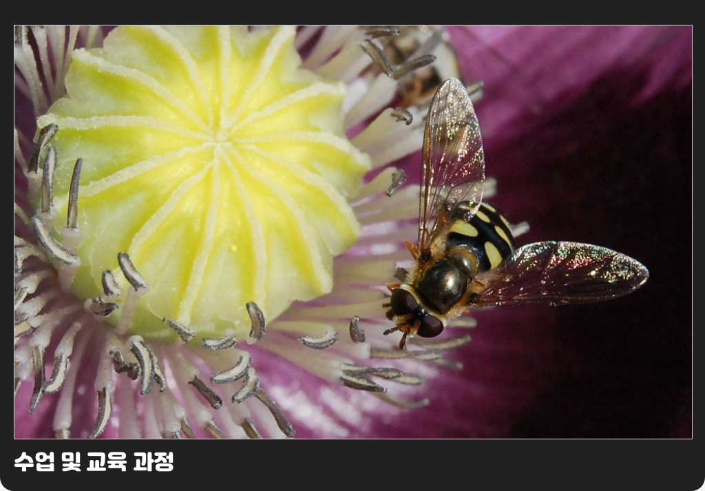 수업 및 교육 과정