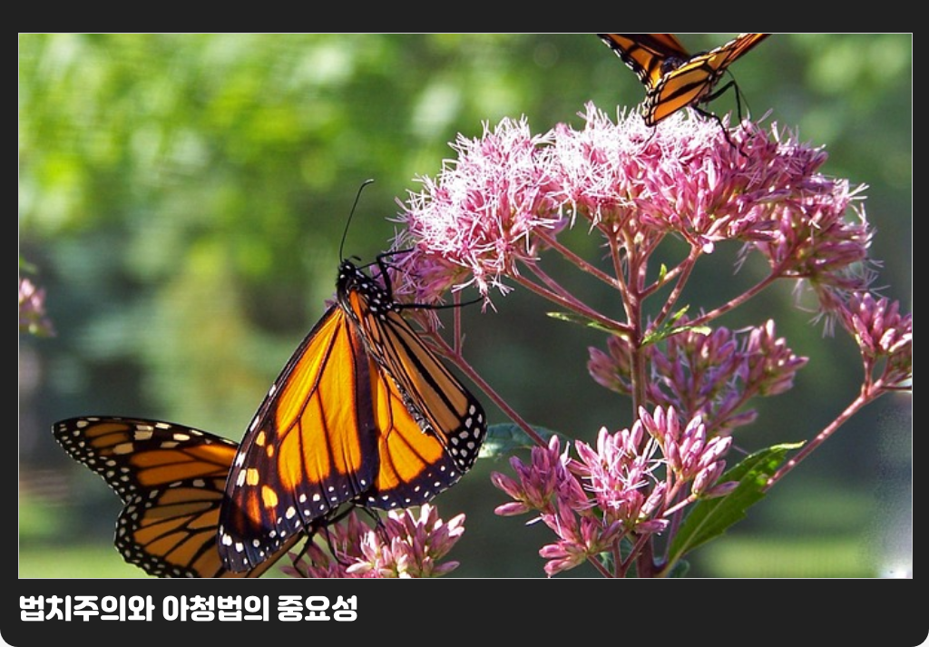 법치주의와 아청법의 중요성