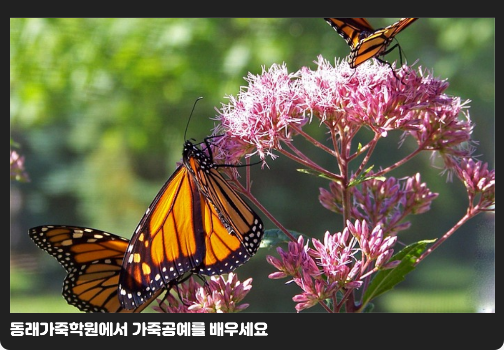동래가죽학원에서 가죽공예를 배우세요
