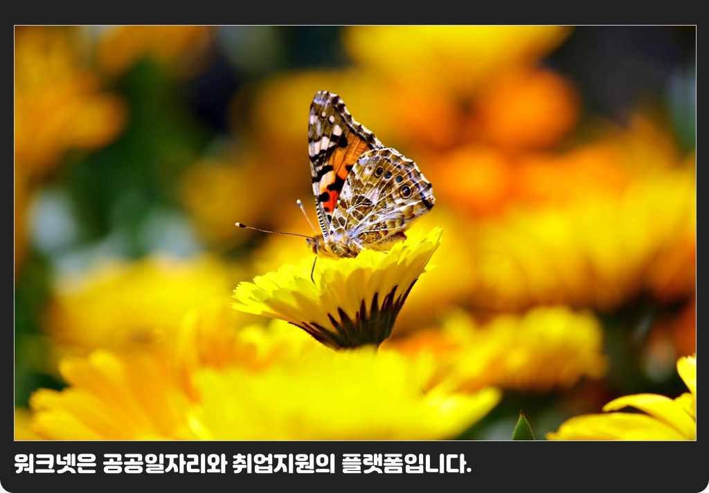 워크넷은 공공일자리와 취업지원의 플랫폼입니다.