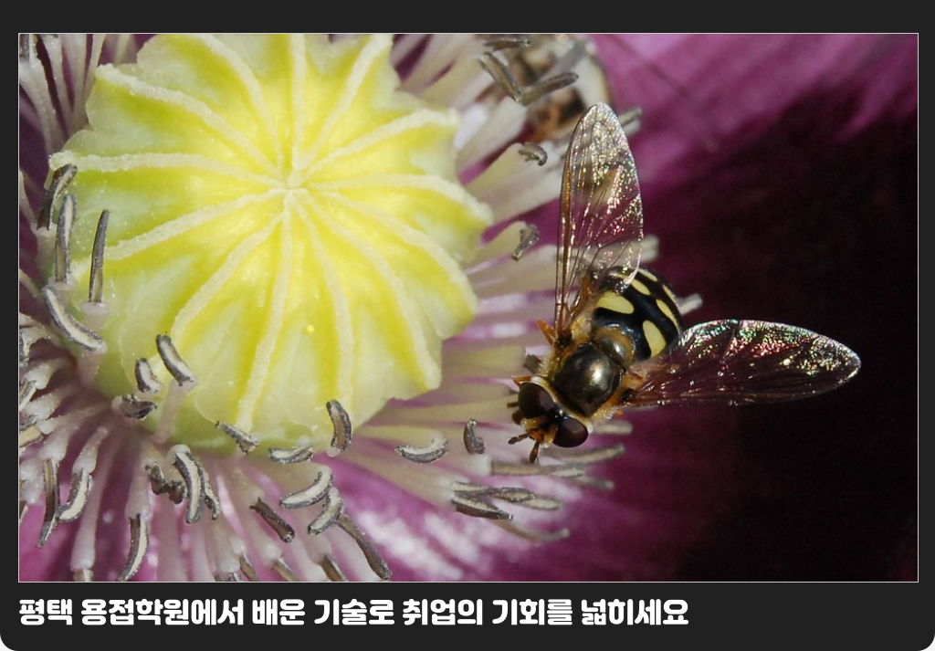 평택 용접학원에서 배운 기술로 취업의 기회를 넓히세요