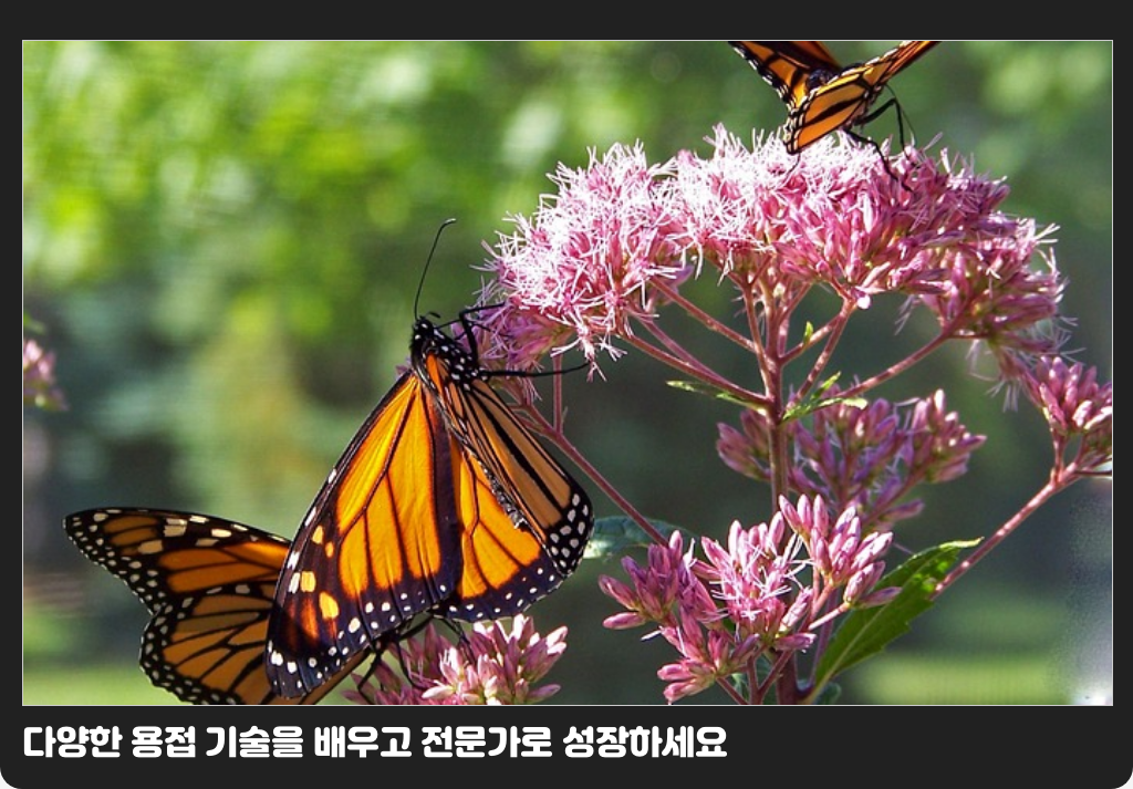 다양한 용접 기술을 배우고 전문가로 성장하세요