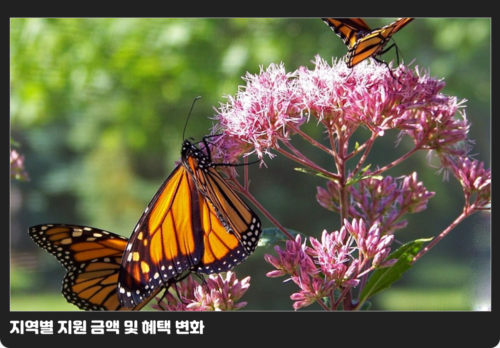 지역별 지원 금액 및 혜택 변화