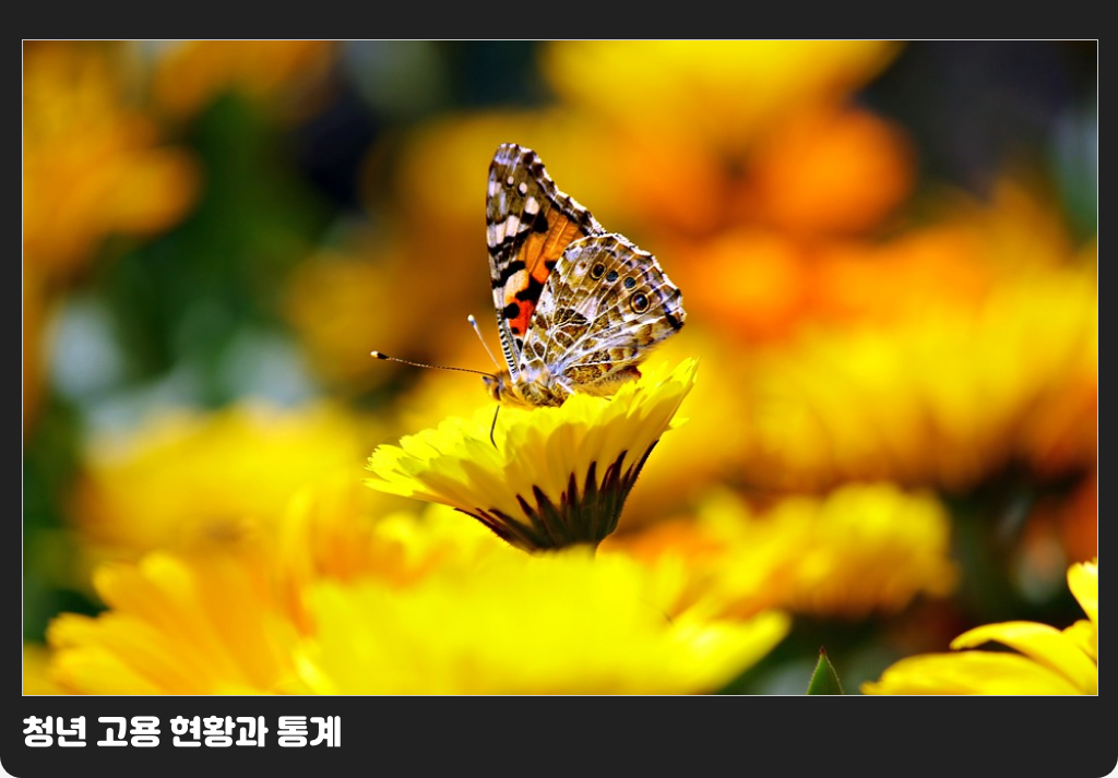 청년 고용 현황과 통계