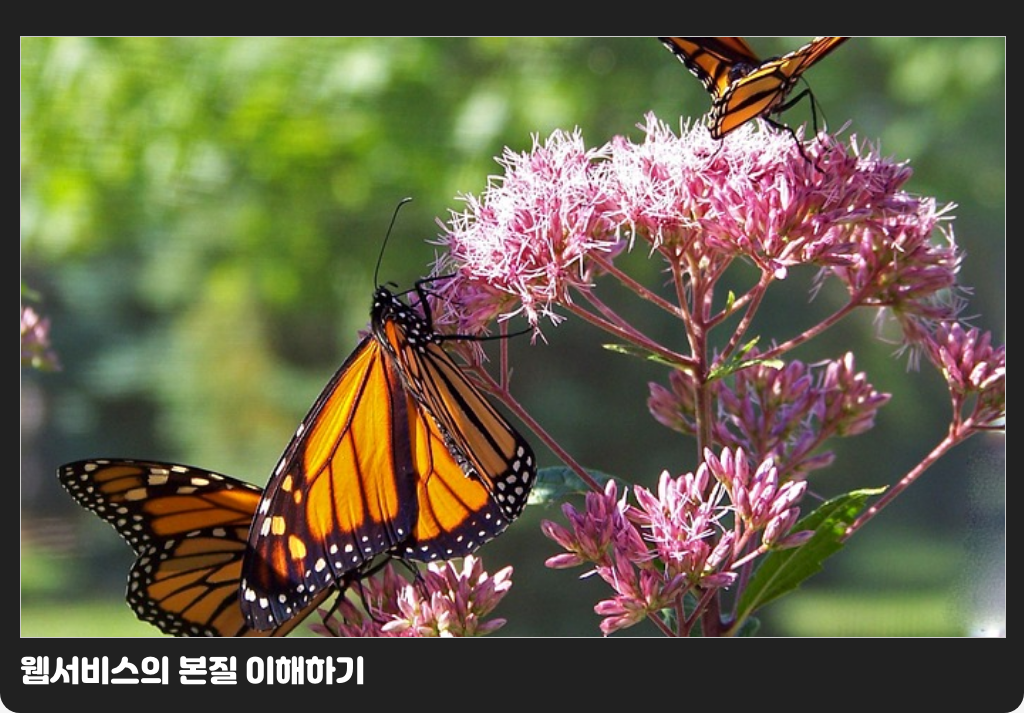 웹서비스의 본질 이해하기
