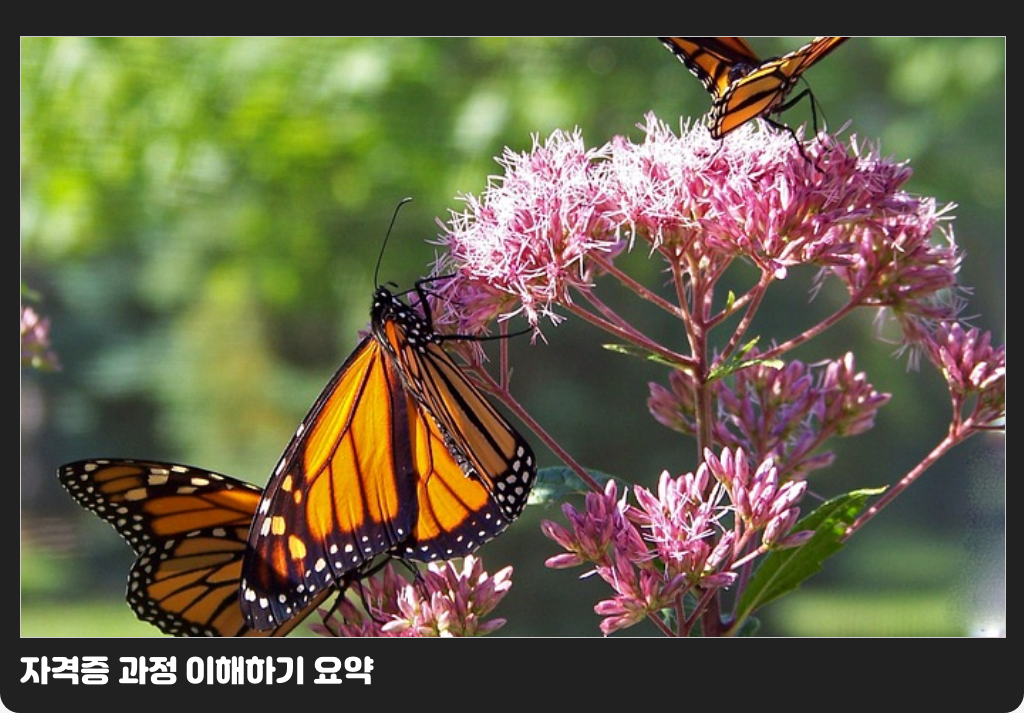 자격증 과정 이해하기 요약