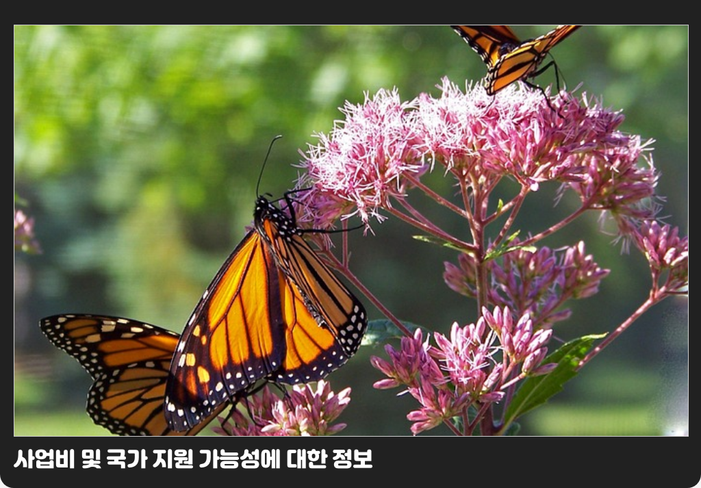 사업비 및 국가 지원 가능성에 대한 정보