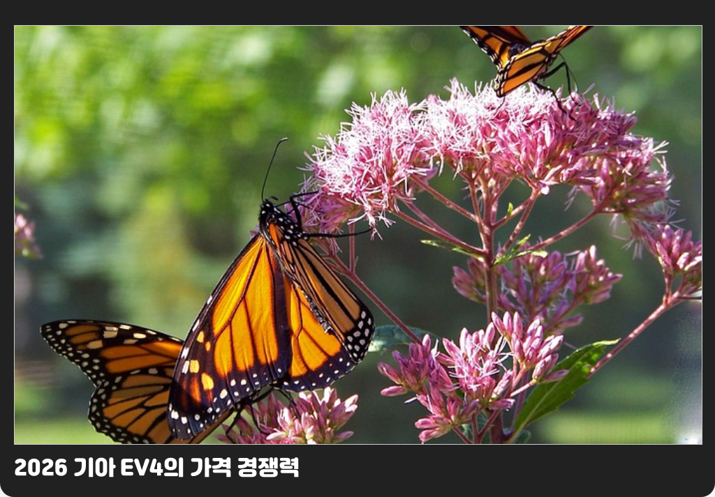 2026 기아 EV4의 가격 경쟁력