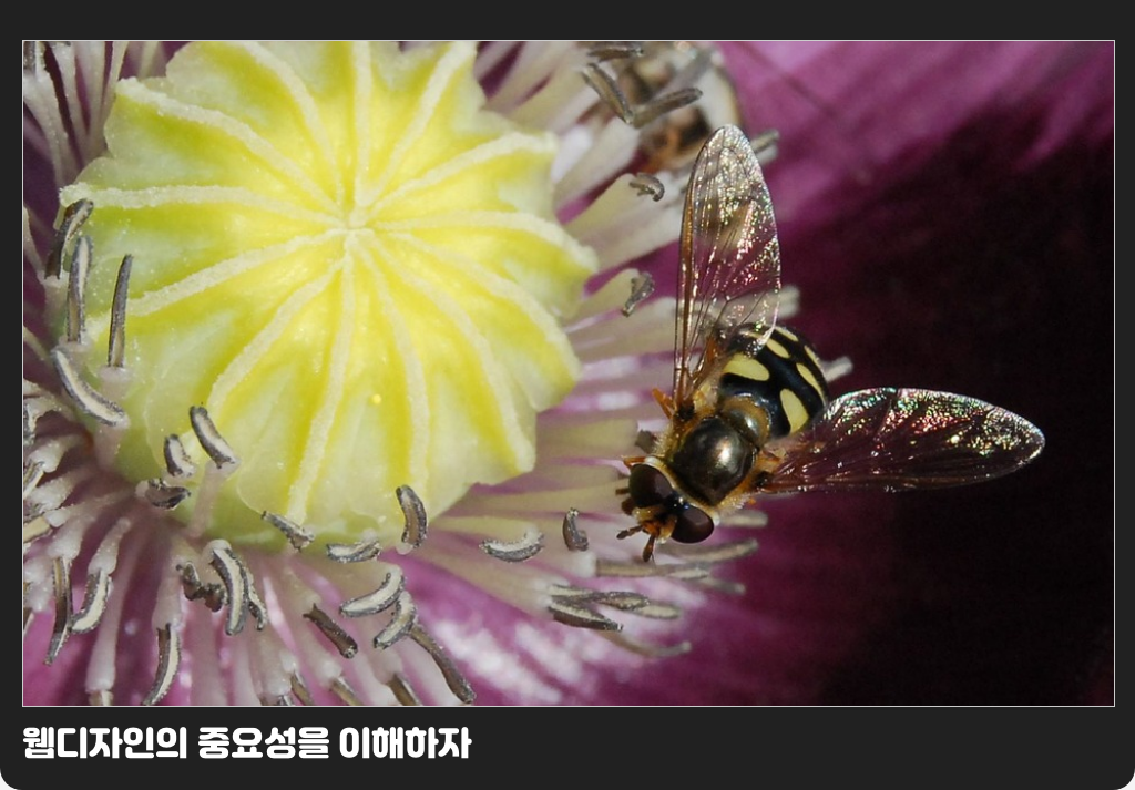웹디자인의 중요성을 이해하자
