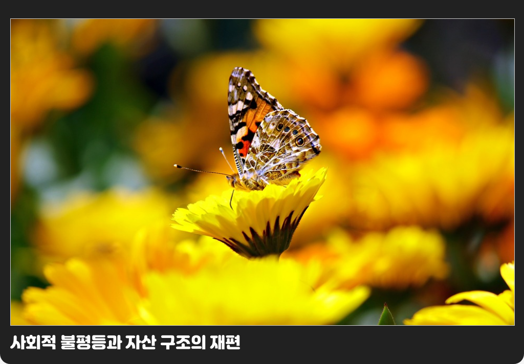 사회적 불평등과 자산 구조의 재편
