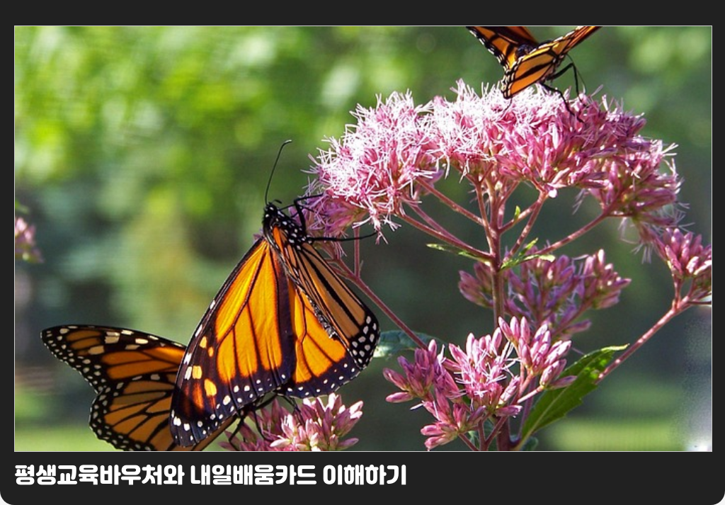 평생교육바우처와 내일배움카드 이해하기