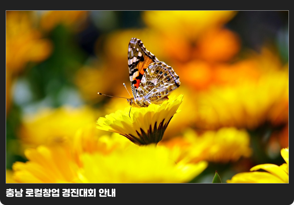 충남 로컬창업 경진대회 안내