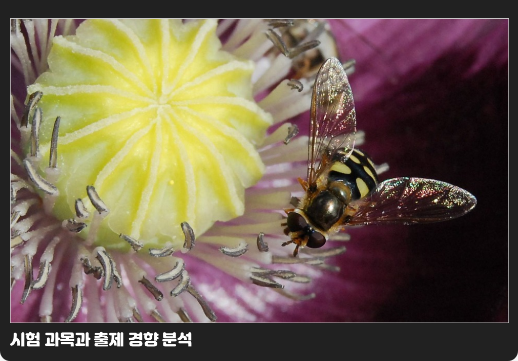 시험 과목과 출제 경향 분석
