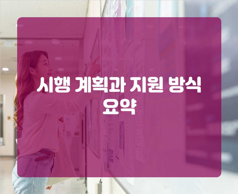 시행 계획과 지원 방식 요약