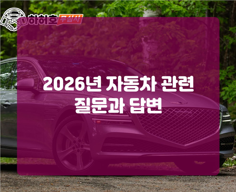 활용 팁