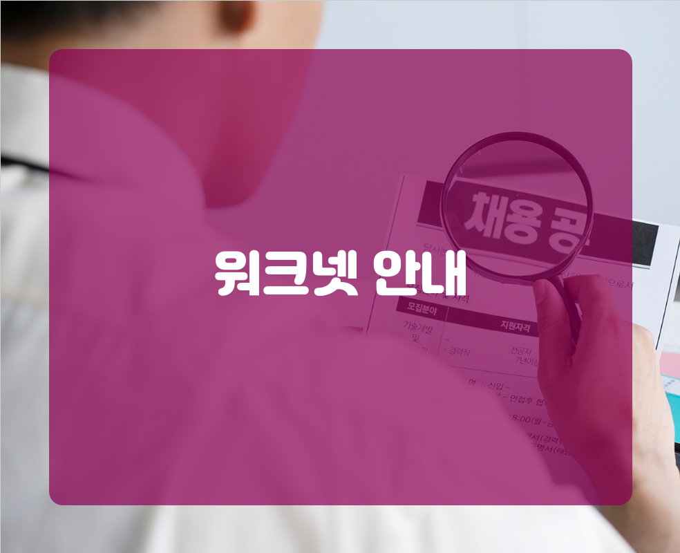 워크넷 안내