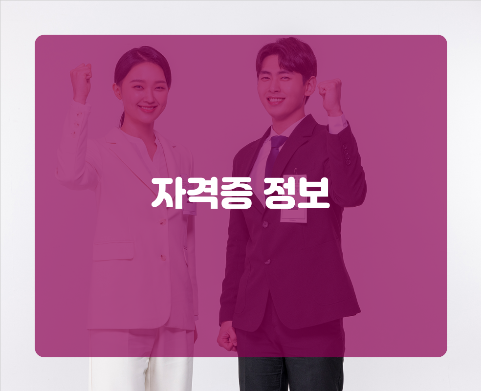 자격증 정보