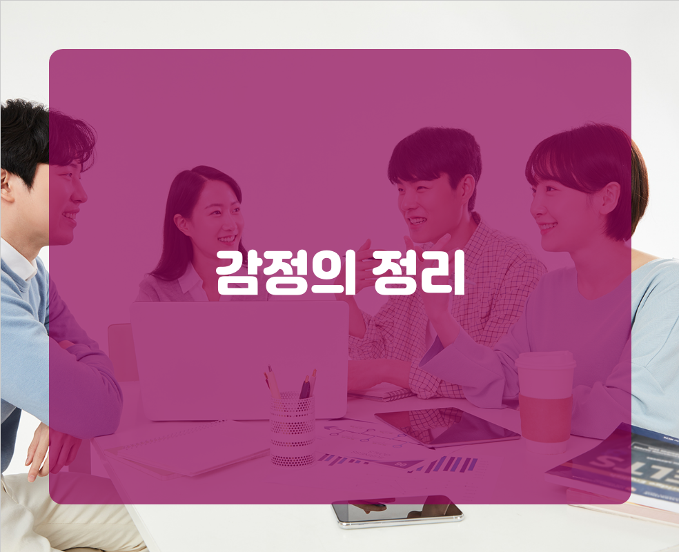 감정의 정리