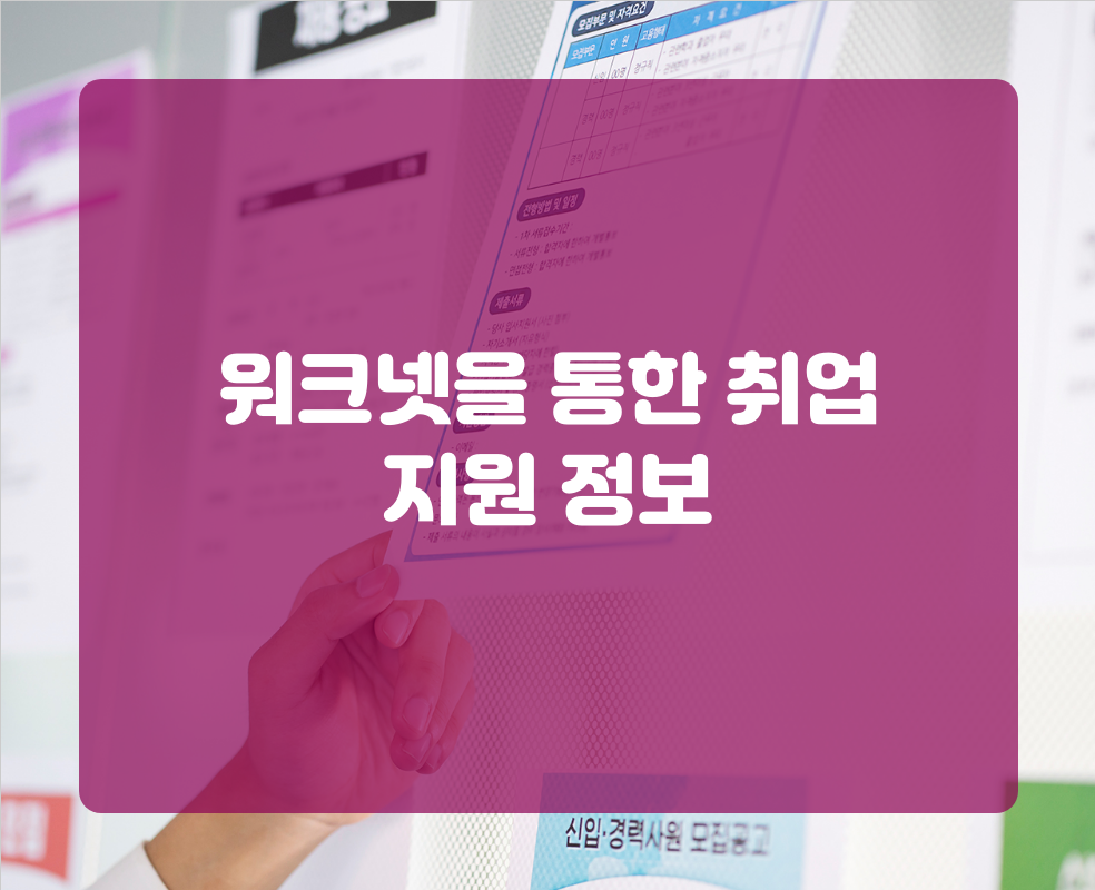 워크넷을 통한 취업 지원 정보
