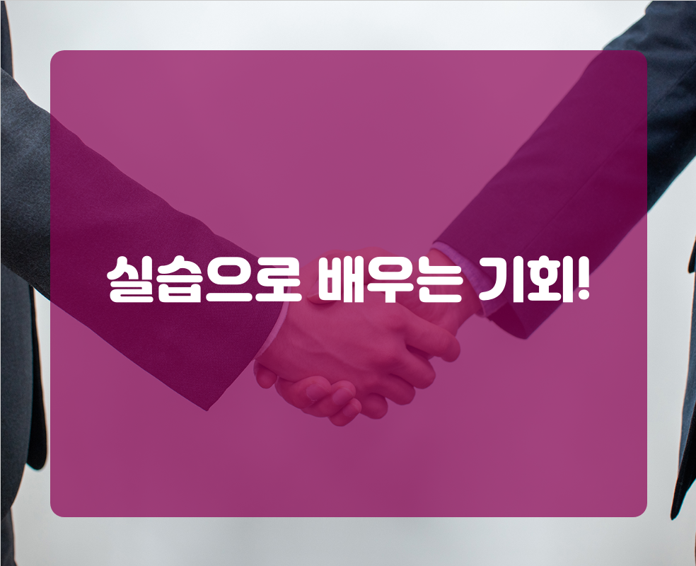 실습으로 배우는 기회!