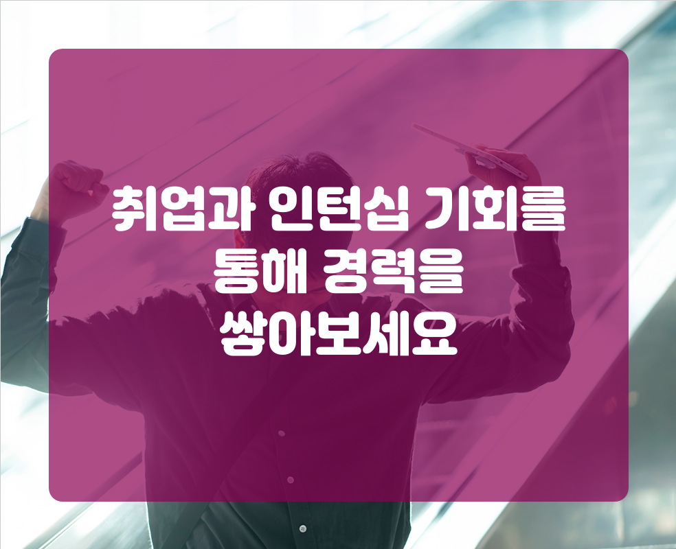 취업과 인턴십 기회를 통해 경력을 쌓아보세요