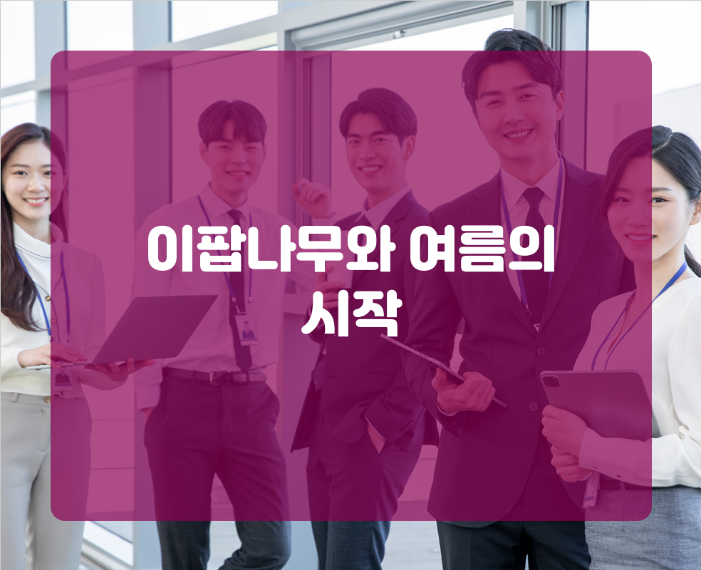 이팝나무와 여름의 시작