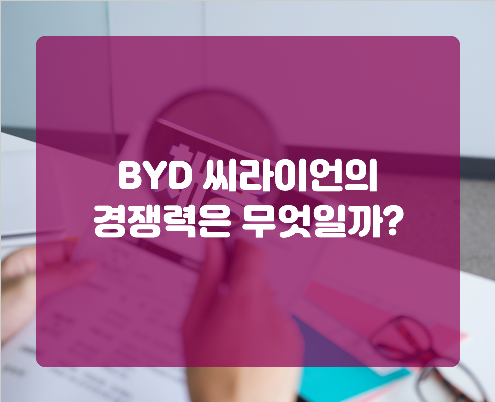 BYD 씨라이언의 경쟁력은 무엇일까?