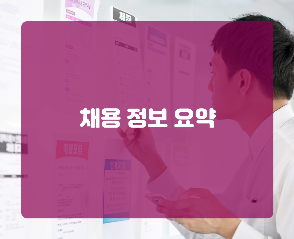 채용 정보 요약