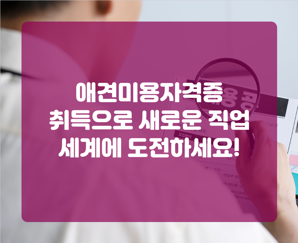 애견미용자격증 취득으로 새로운 직업 세계에 도전하세요!