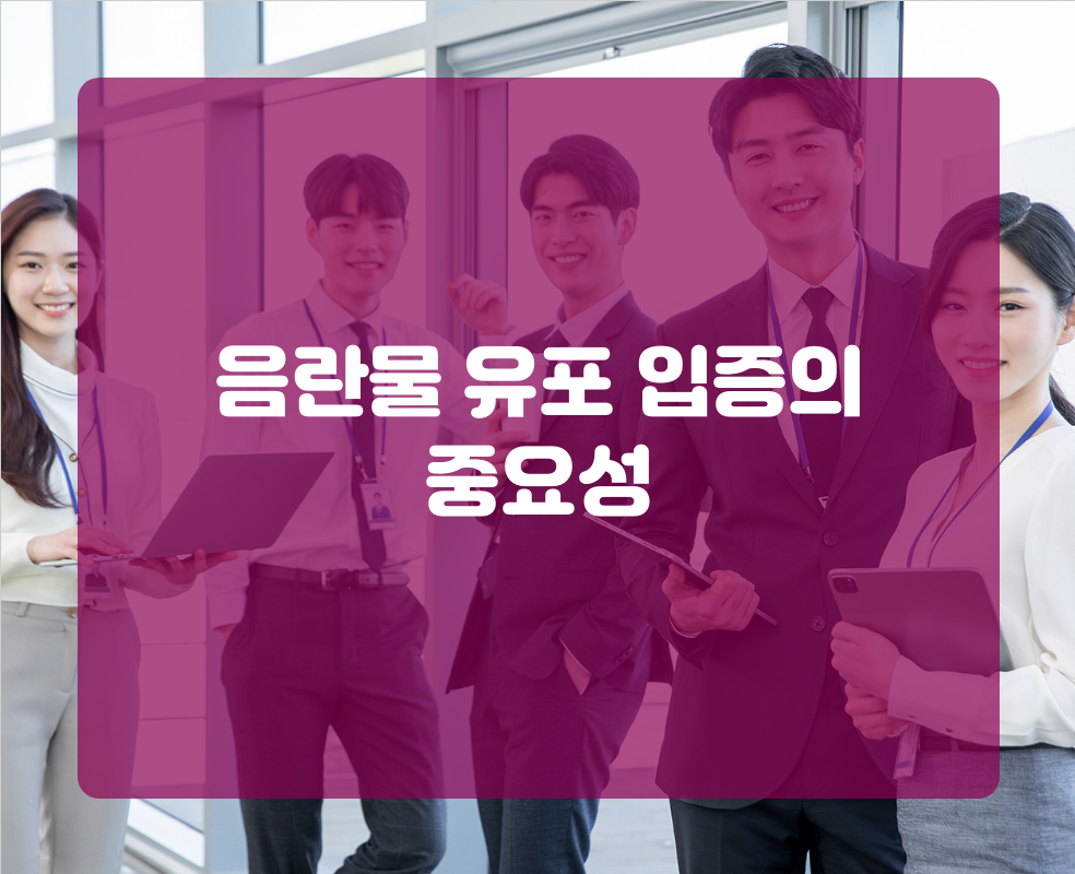 음란물 유포 입증의 중요성