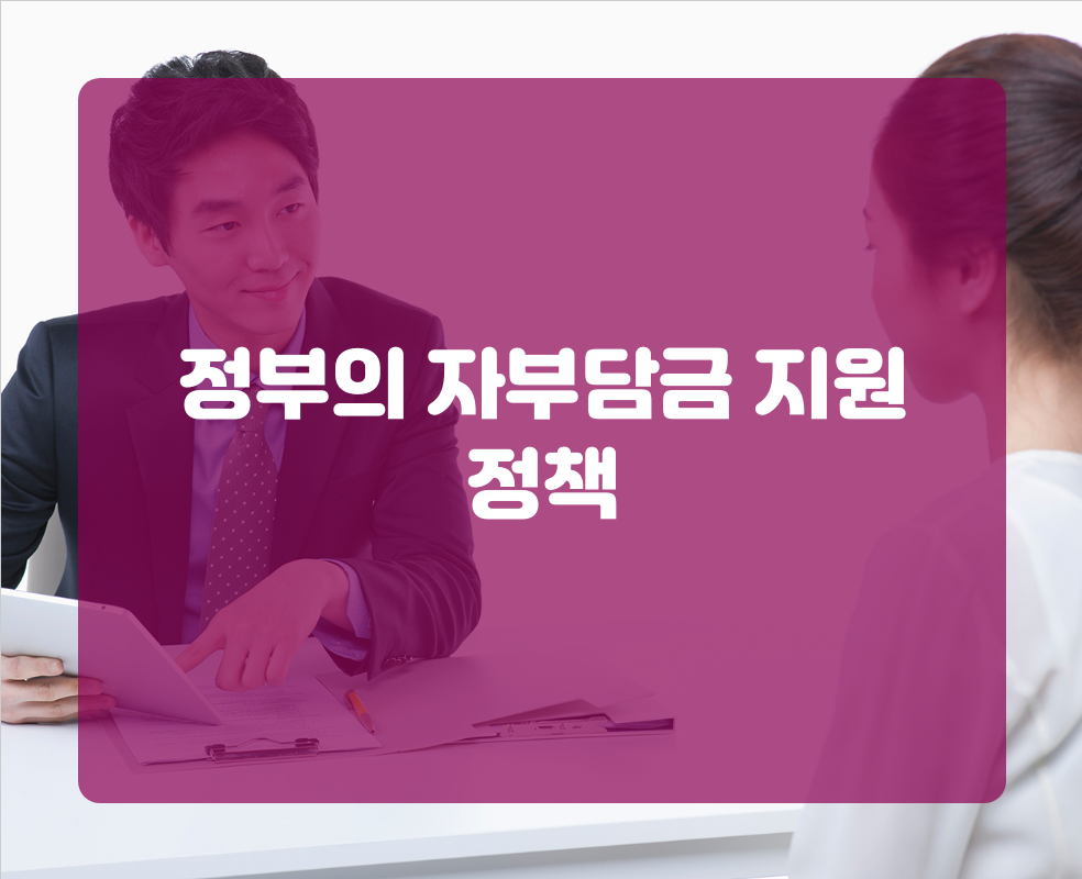 정부의 자부담금 지원 정책