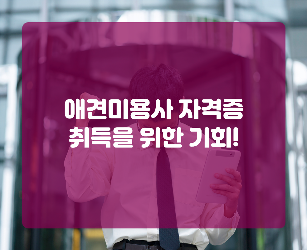 애견미용사 자격증 취득을 위한 기회!
