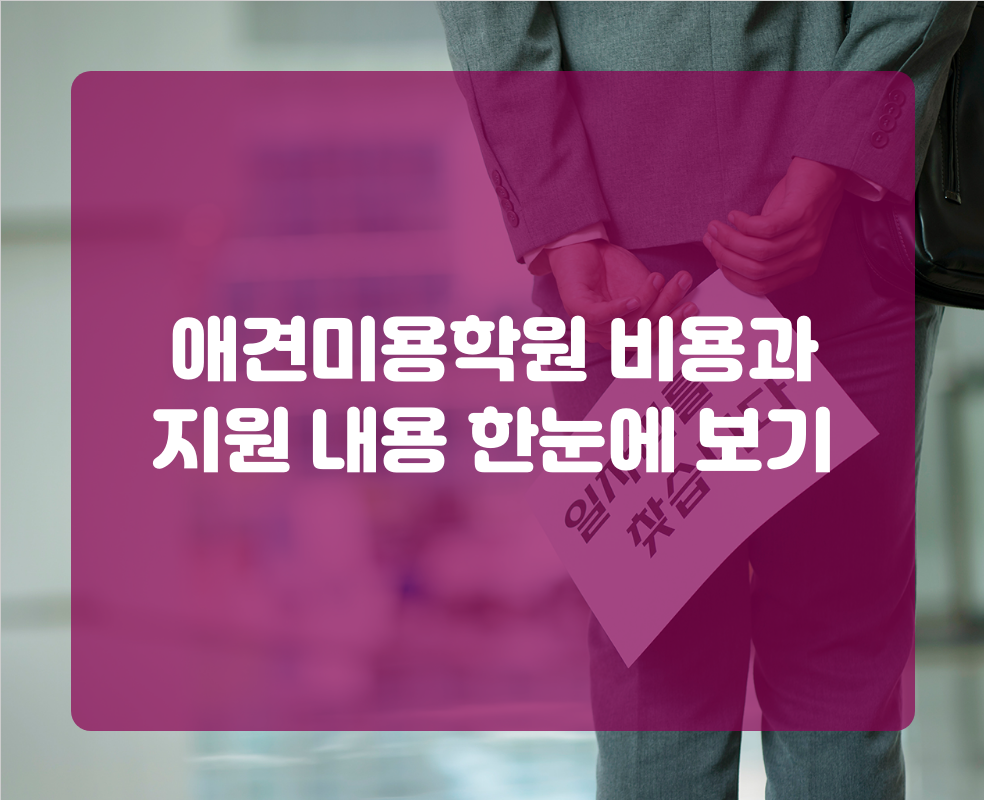 애견미용학원 비용과 지원 내용 한눈에 보기
